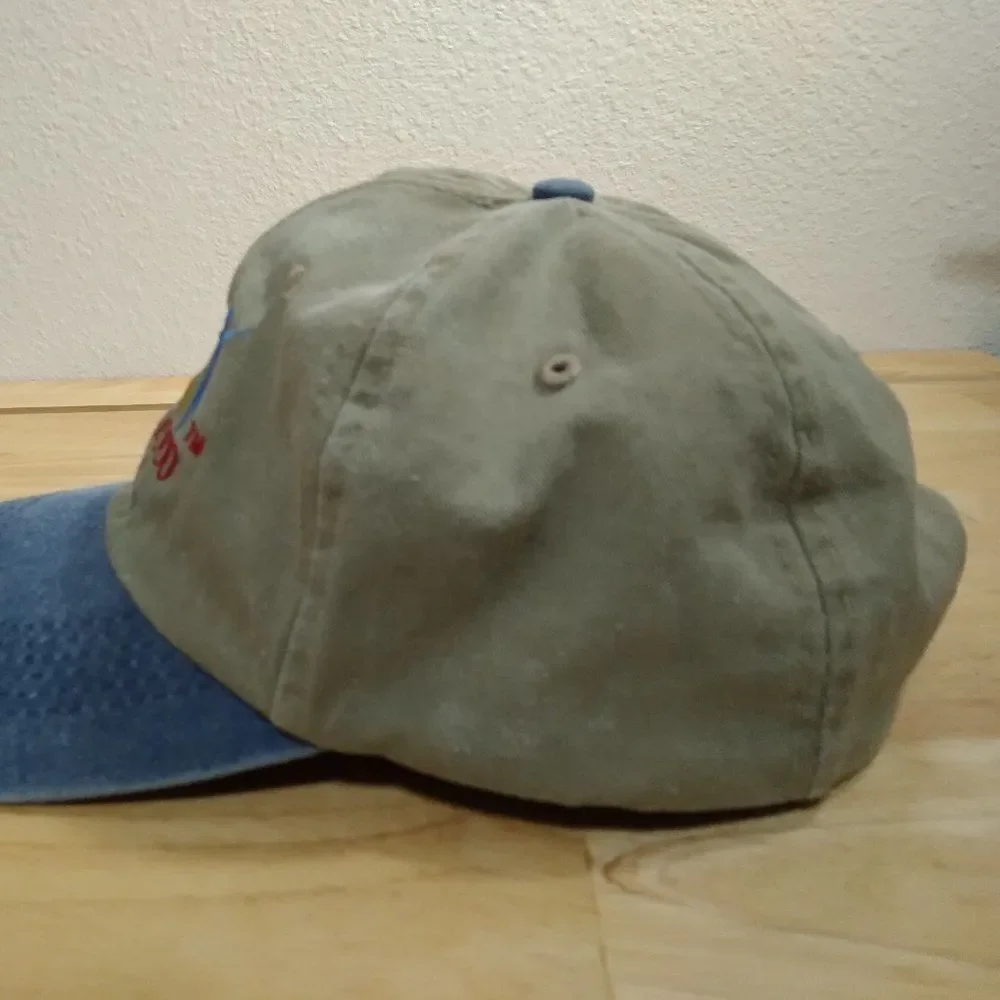 Vintage Celebrate 2000 Y2K Strap Back Hat